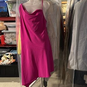 NWT Julia Jordan dress